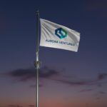 Die Fahnenbeleuchtung FlagLight LED 3 beleuchtet eine Werbefahne bei Nacht