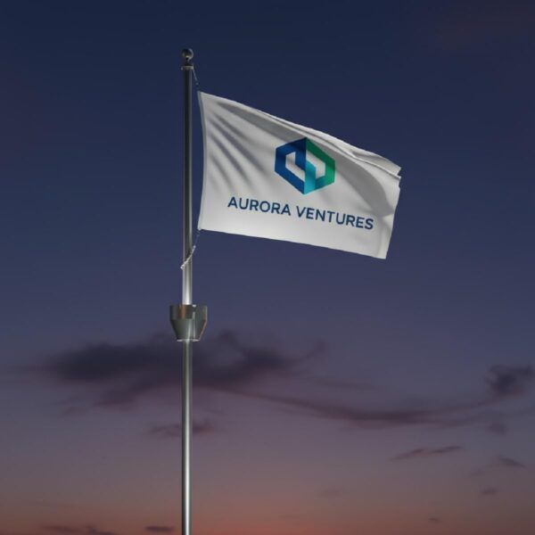 Die Fahnenbeleuchtung FlagLight LED 3 beleuchtet eine Werbefahne bei Nacht