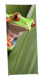 Grüner Frosch Banner