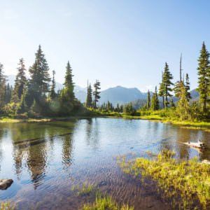 Fahnen der Welt: Eindrücke aus Kanada