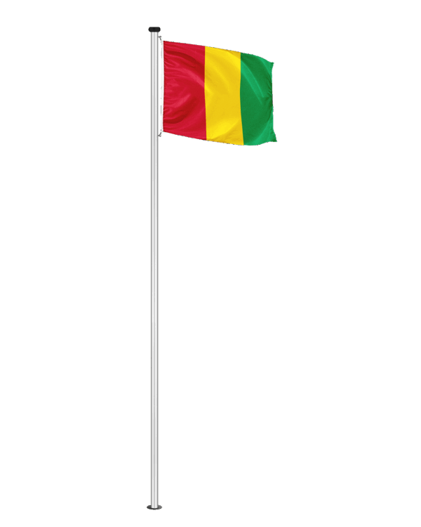 Guinea Hissfahne