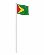 Guyana Hissfahne