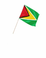 Guyana Kleinflagge