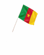Kamerun Kleinflagge