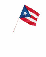 Puerto Rico Kleinflagge