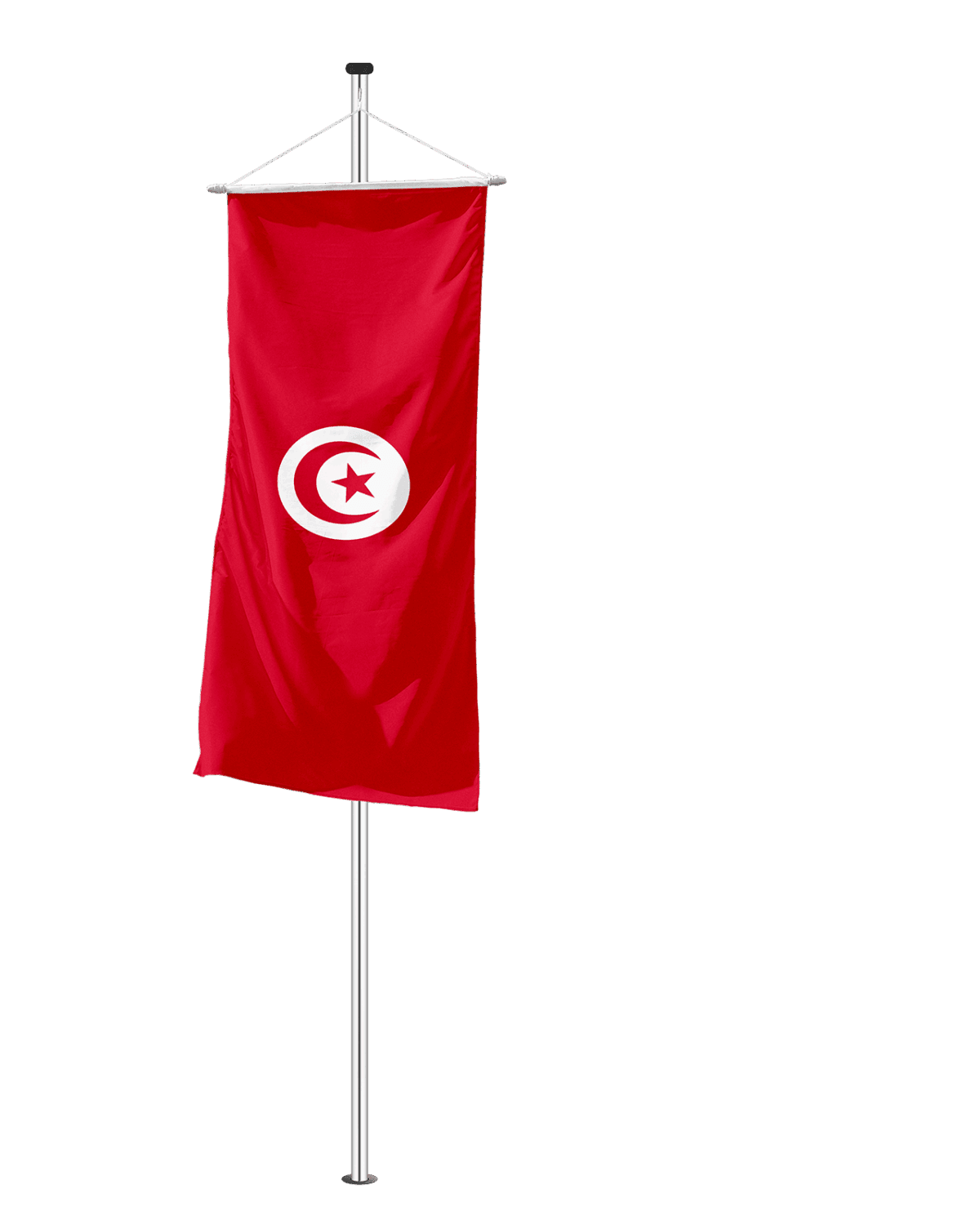 Tunesien Bannerfahne